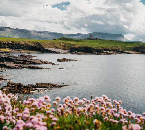 Diseño sin título (83)